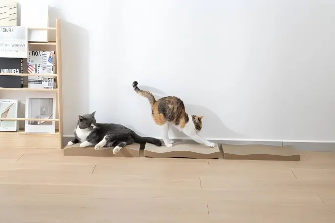 The Ultimate Cat Scratcher Experience: Unlocking the Secret Behind Your Cat’s Daily Stretch & Scratch Session