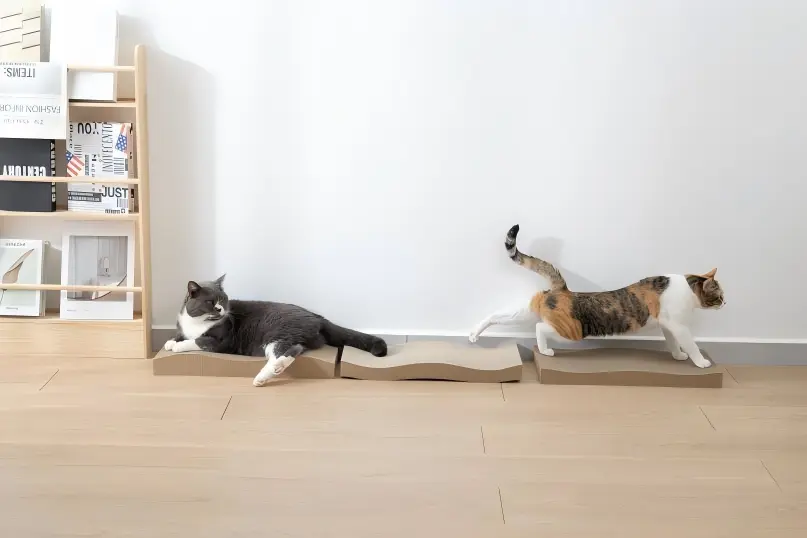 Deep stretch for the back leg