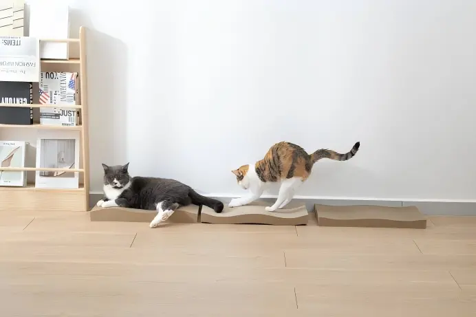 The Classic Arch Stretch