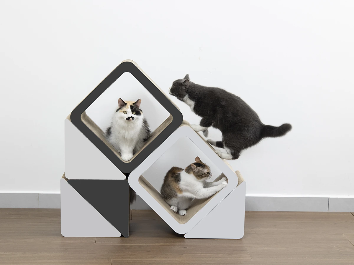 Functional dimensions for a modular cat scratcher
