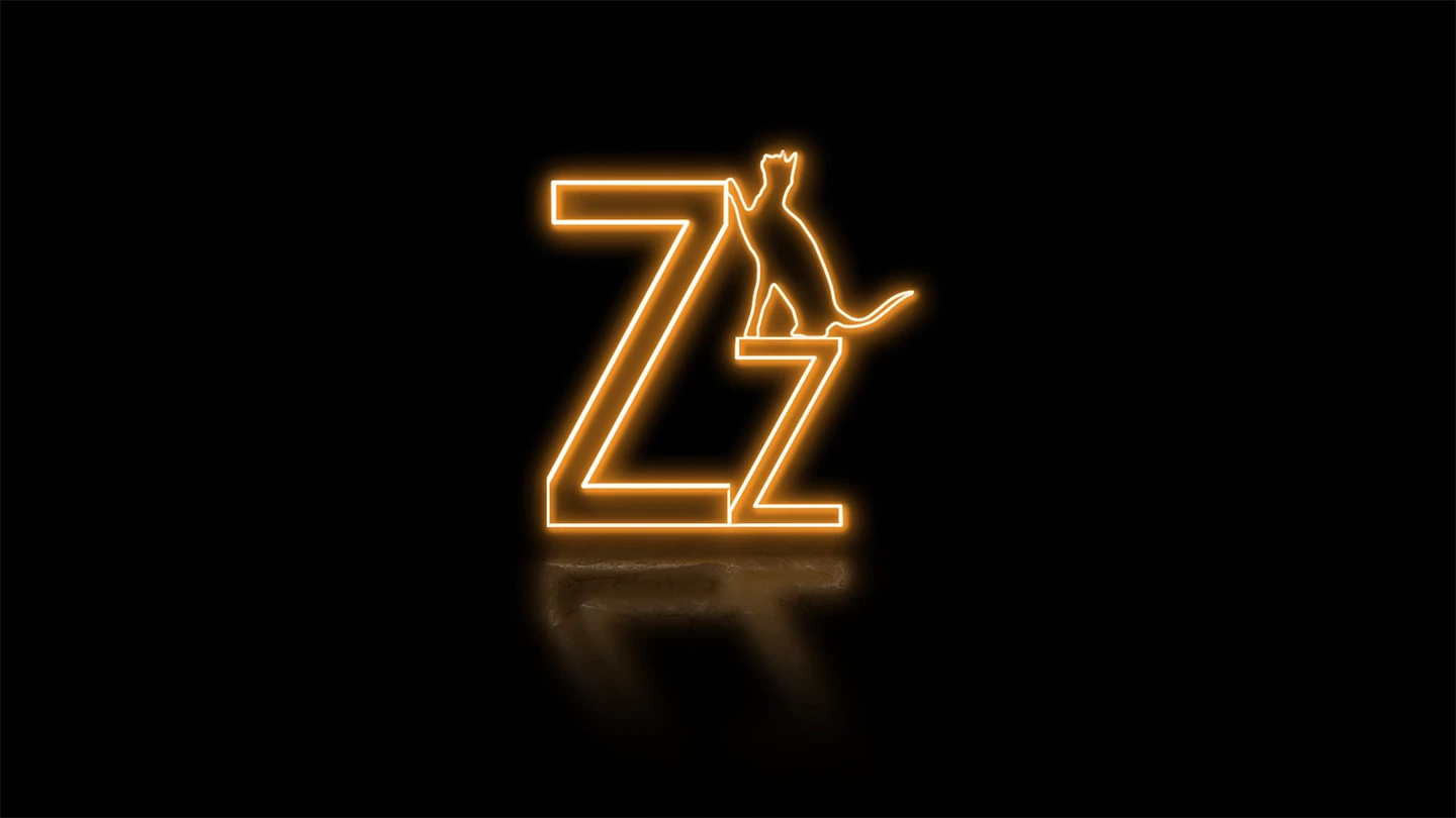 Zhizao Video