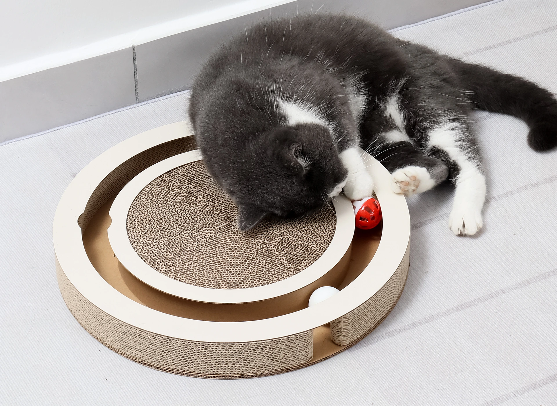 Cat Interactive Scratcher
