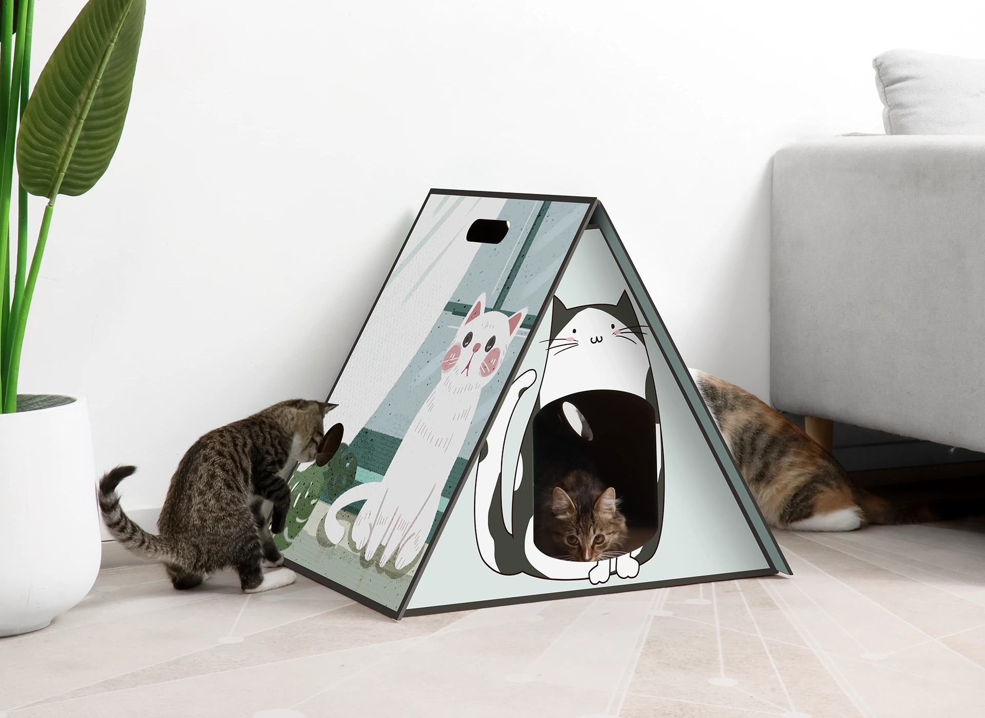 Cat Scratcher House