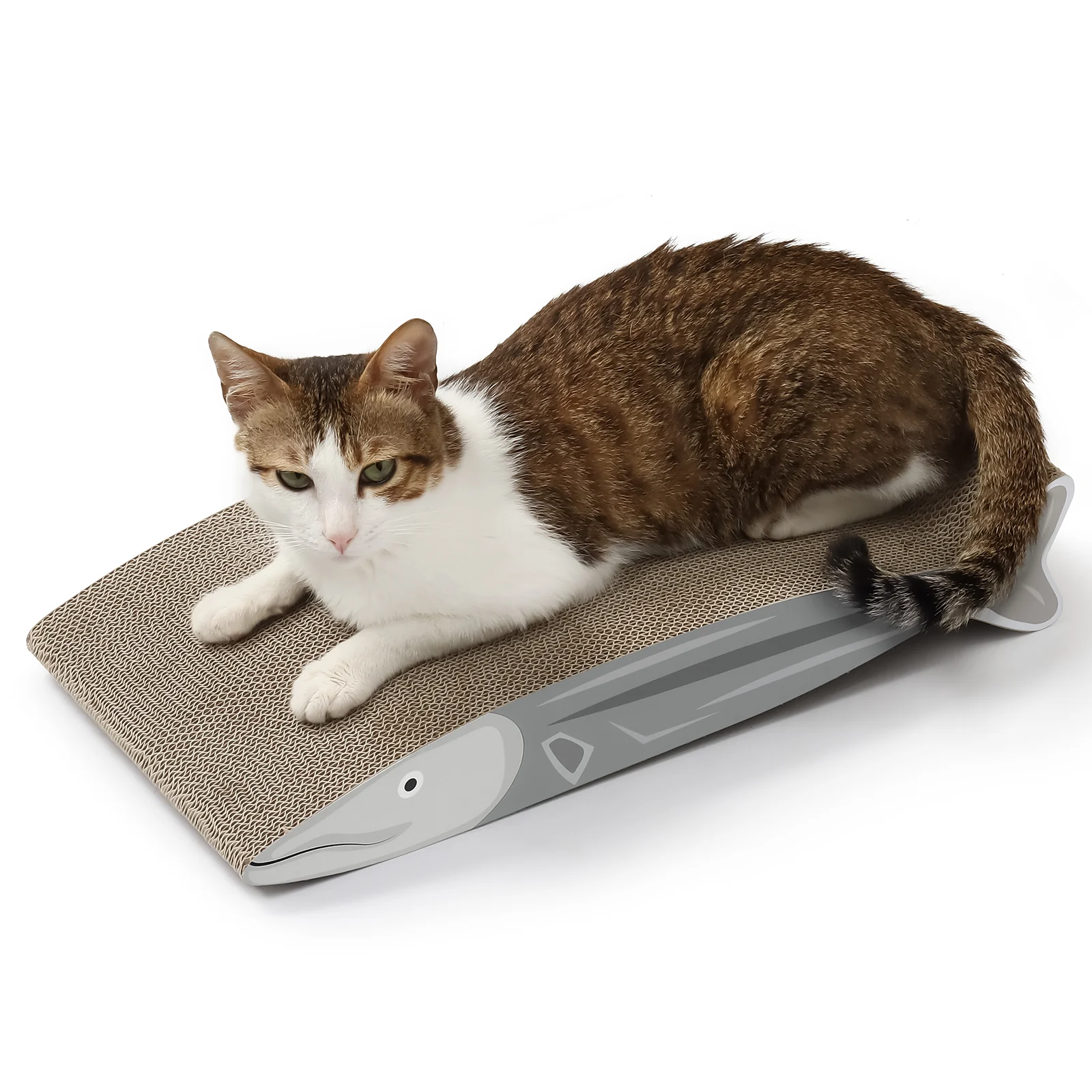 sea bass cat scratcher corrugated cardboard cat scratcher view 08 01