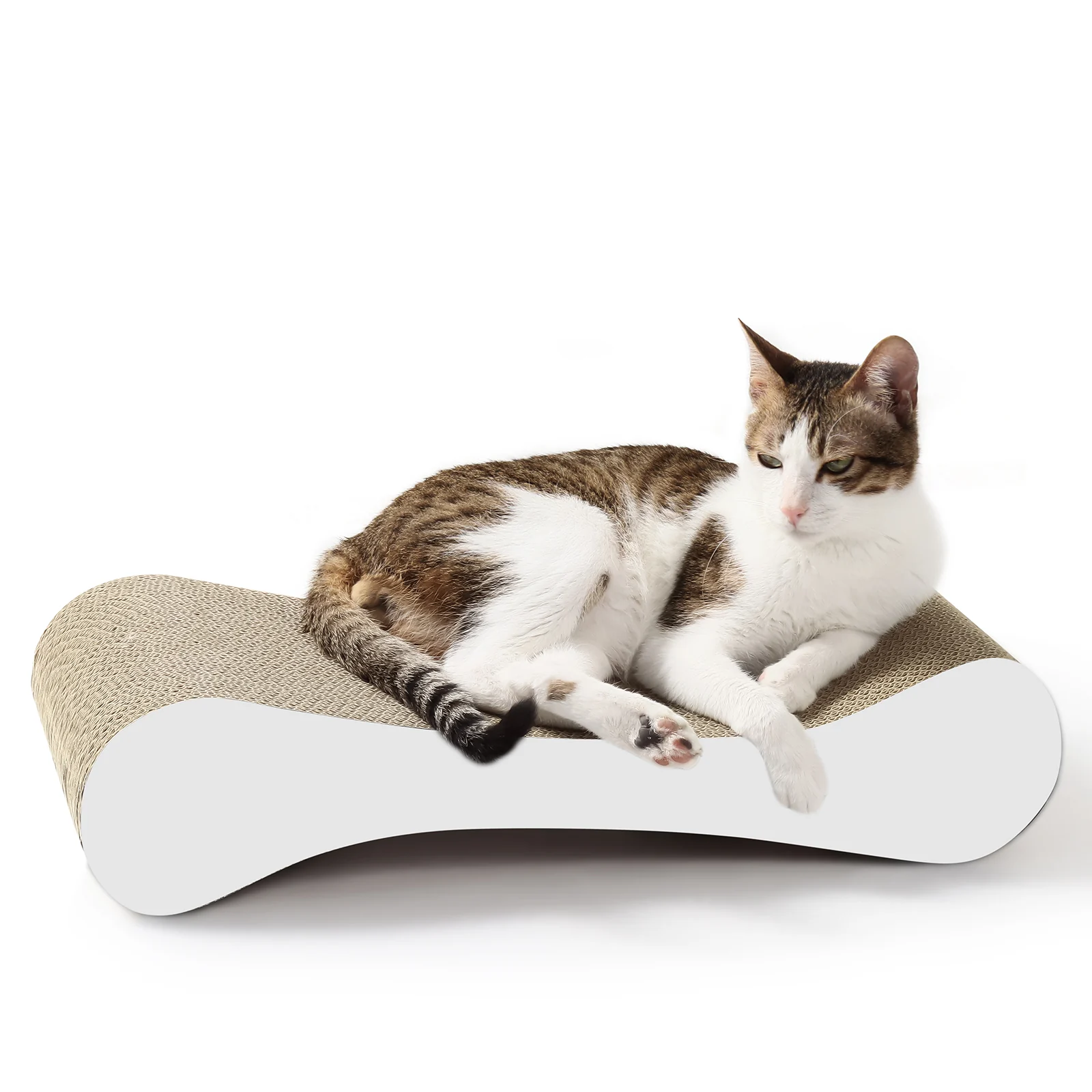 bone shaped cat scratcher corrugated cardboard cat scratcher view 09 01