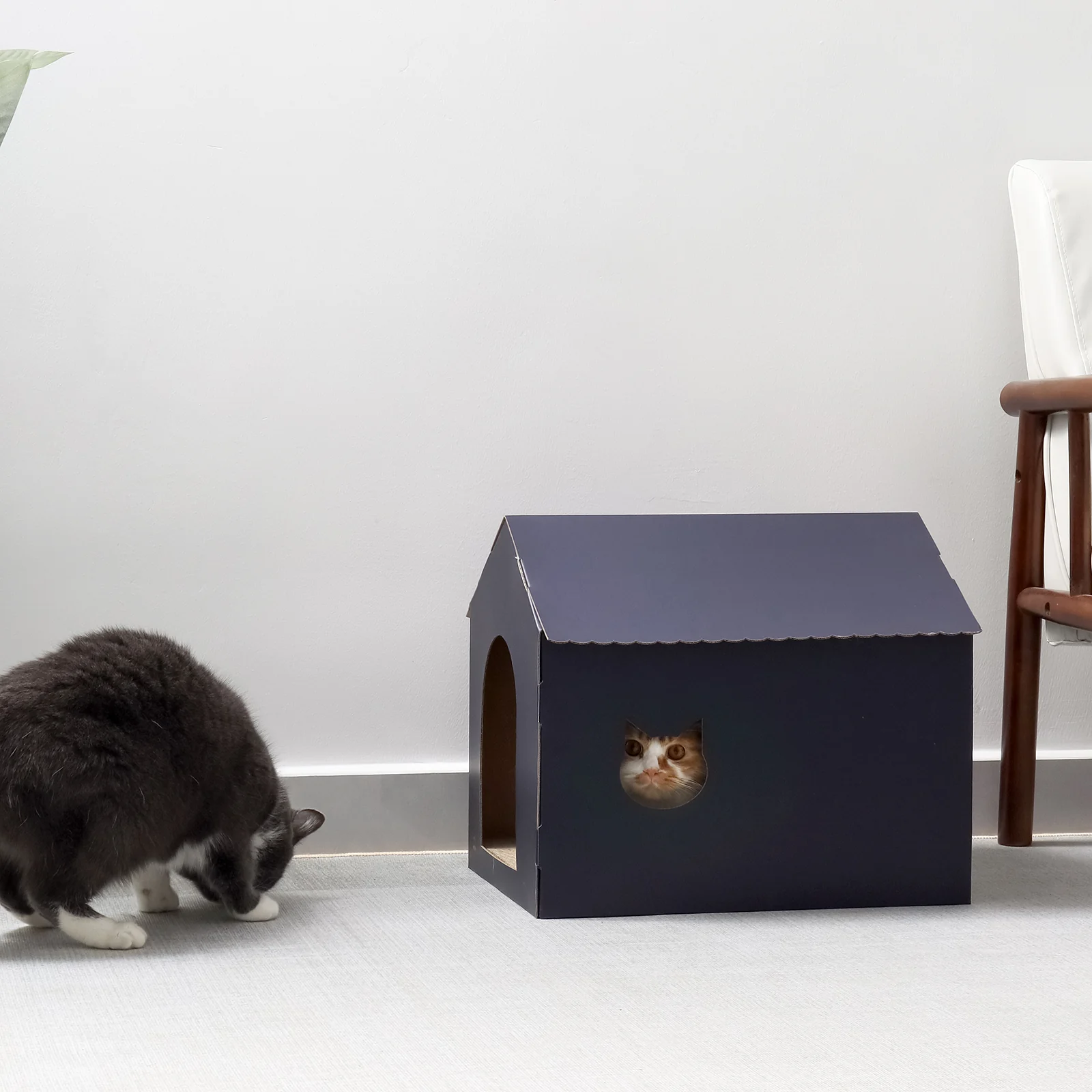house shaped cat house corrugated cardboard cat house view 03 01