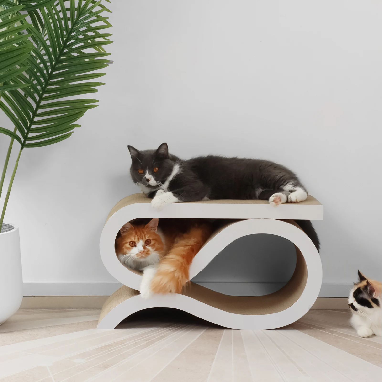 KL26 Curved Corrugated Cardboard Cat Bed with Multi-Angle Scratcher Surfaces