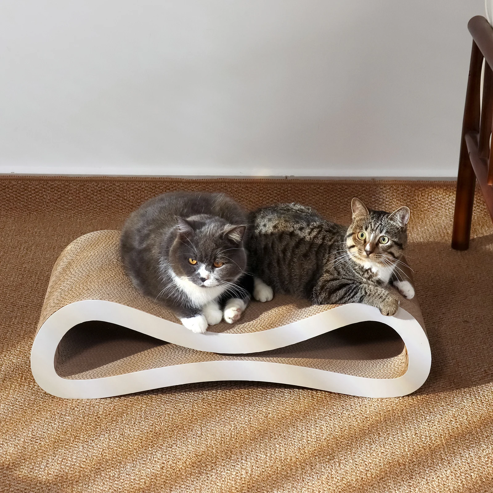 b shaped cat bed corrugated cardboard cat bed view 09 01