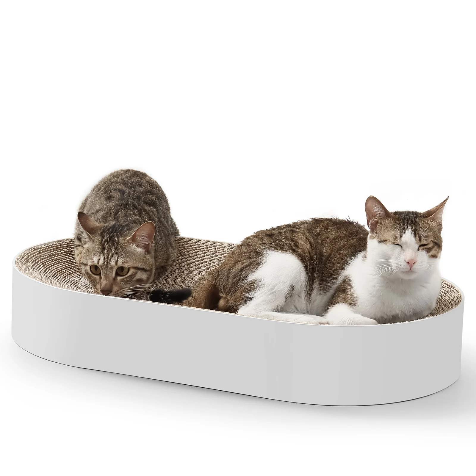 soccer field cat bed corrugated cardboard cat bed view 10 01