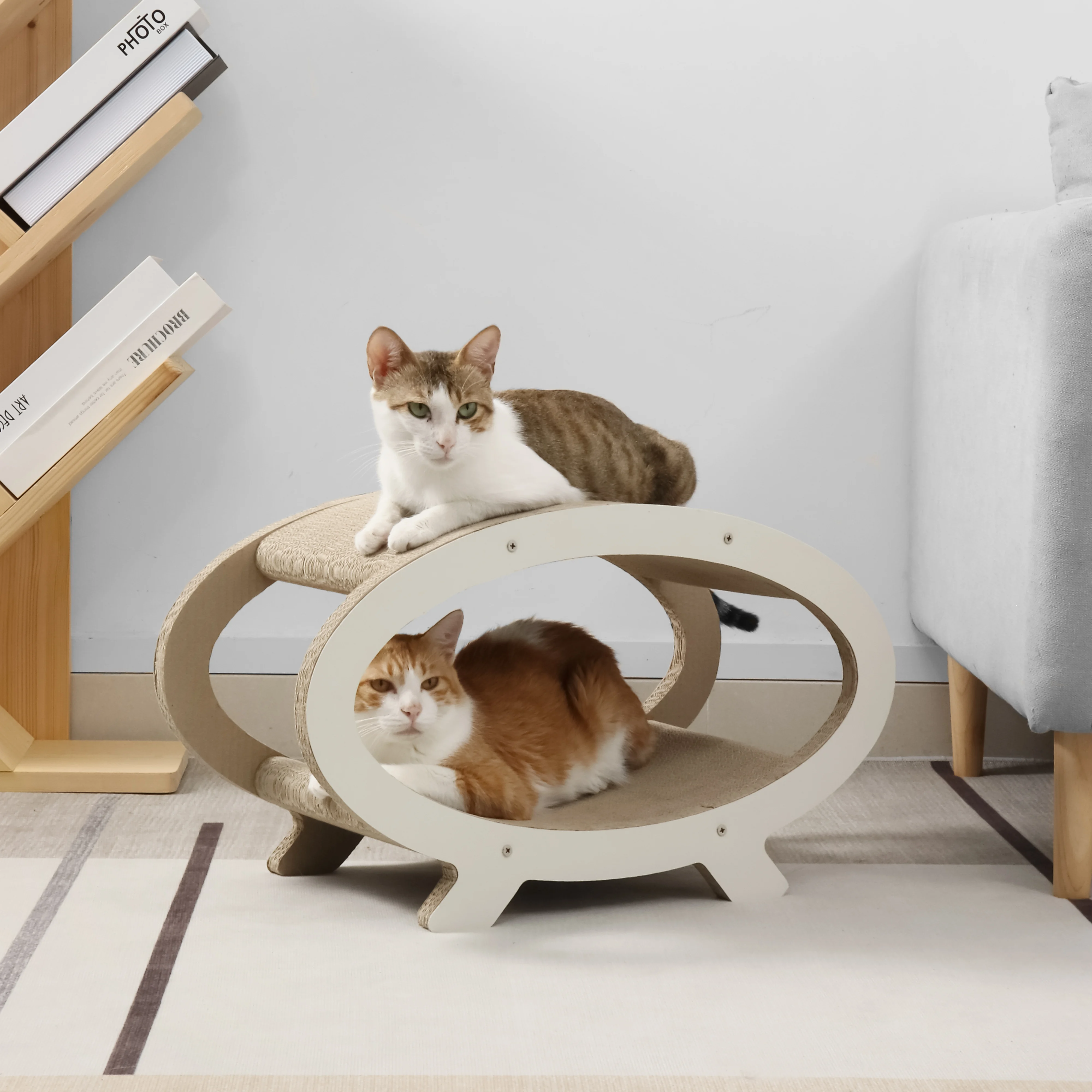 oval cat house corrugated cardboard cat house view 12 01