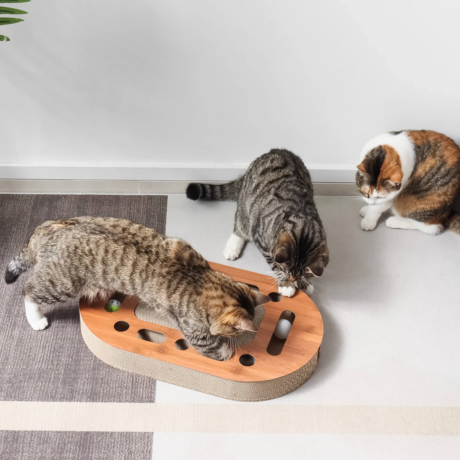 oval interactive scratcher interactive corrugated cardboard cat scratcher view 02 01